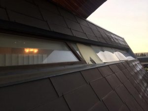 image7 (Medium).jpg