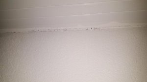 20151223_201058.jpg