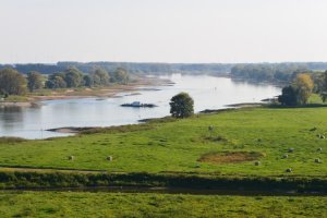 DSC_7930.jpg