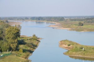 DSC_7942.jpg