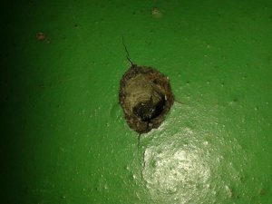 20160110_165933.jpg
