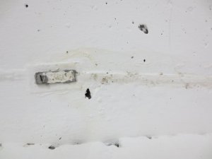 IMG_1885.jpg
