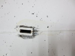 IMG_1882.jpg