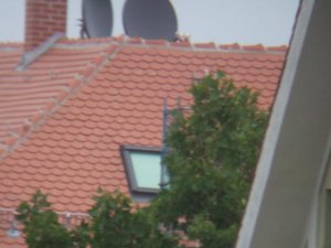 DSCF6931.jpg
