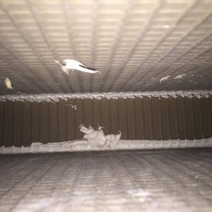 Oberer Kasten XPS.JPG