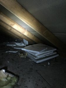 comp_IMG_5387.jpg