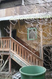 IMG_9773.jpg