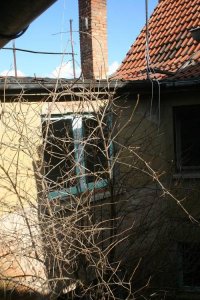 IMG_9854.jpg