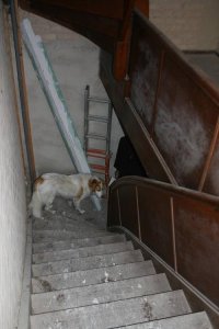 IMG_9834.jpg