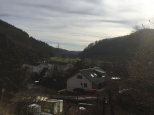 IMG_0256.jpg