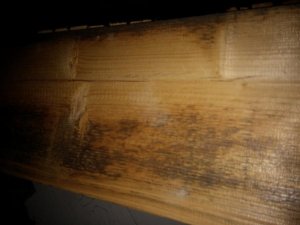 IMG_20160219_184640.jpg