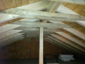 20160221_114643.jpg