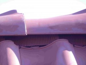 P1080036-klein.jpg