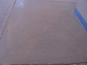 IMG_0881.jpg