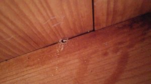 IMG_20160412_112530.jpg
