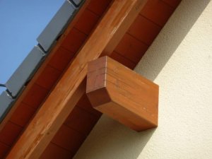 Sparrenkopf (1024x768).jpg