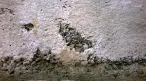 WP_20160604_17_36_35_Pro.jpg