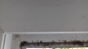 20160622_162516.jpg