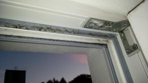 20160717_212134.jpg