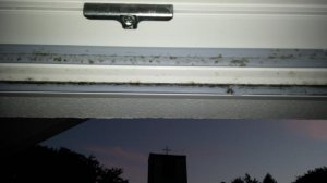 20160717_212138.jpg