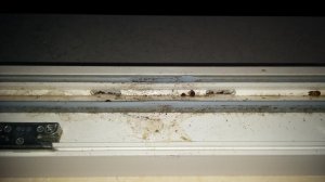 20160717_212157.jpg