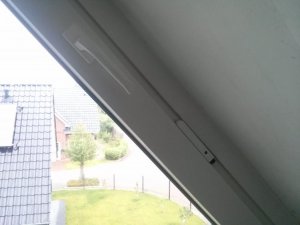 IMG_20160806_115729.jpg