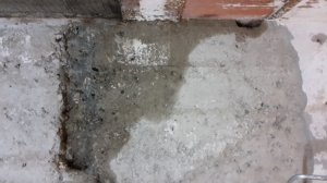 20160810_201015.jpg