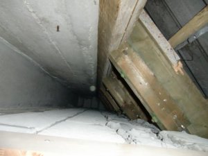 CIMG6063.jpg