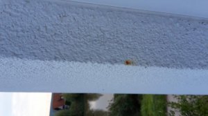 20160828_072401.jpg