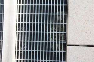 IMG_3456_1.JPG