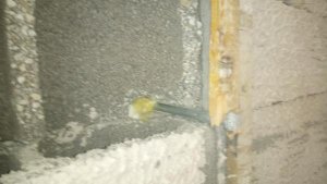IMG-20161013-WA0004.jpg