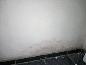 Neubau: WU Betonkeller Innenwand vom Boden her feucht