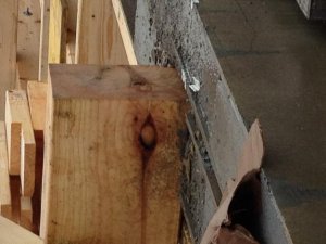 IMG_0321.jpg