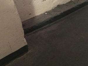 IMG_0970.jpg