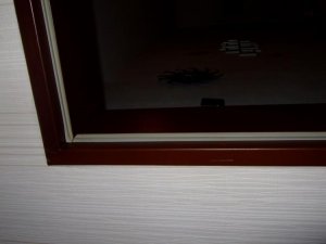 DSCF6250 (Large).jpg