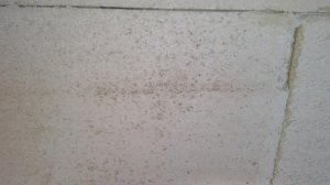 2017-01-01 14.54.58.jpg