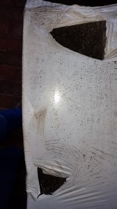 20161015_143842.jpg