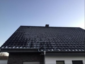 Photo-1.jpg