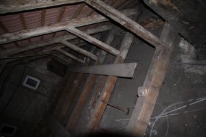 IMG_0109.jpg