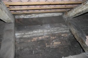 IMG_0111.jpg