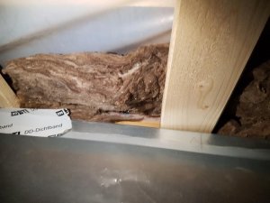 20170202_210550.jpg