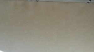 20170204_110346.jpg