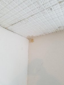 Werkstatt.jpg