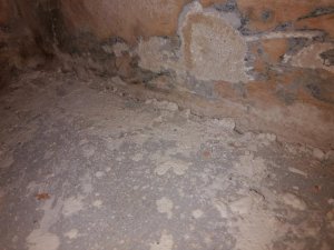 20170203_215746.jpg
