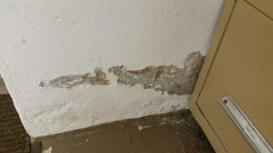 20160225_180954.jpg