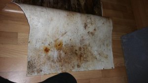 20170210_182743.jpg
