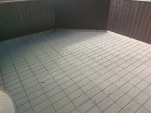IMAG0011.jpg