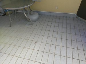 IMAG0014.jpg
