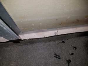 20170310_155953.jpg