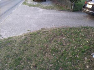 IMG_20170316_175224_BURST003.jpg